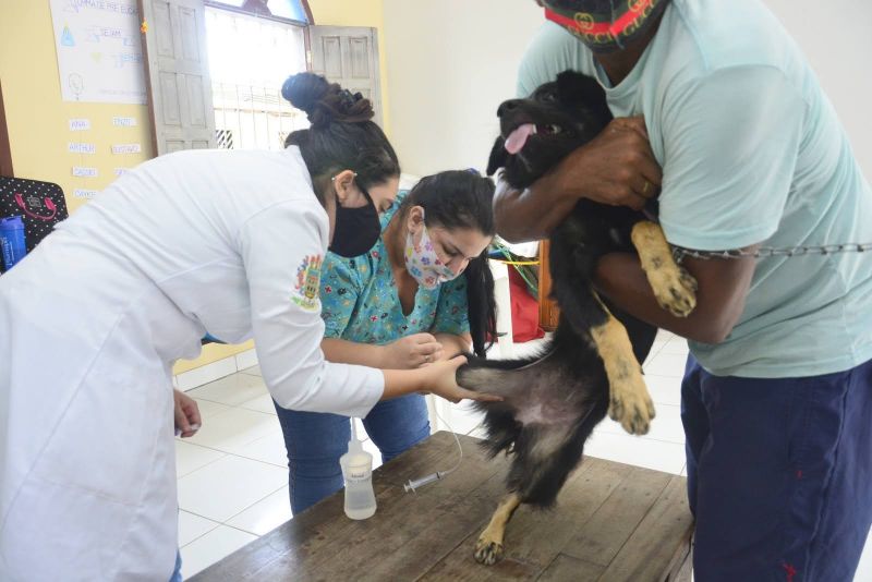 Castramóvel - Paróquia Cristo Peregrino - Conjunto Terra Santa, rua União n 21- Jaderlândia