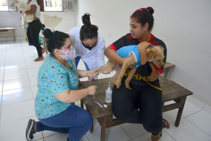 Castramóvel - Paróquia Cristo Peregrino - Conjunto Terra Santa, rua União n 21- Jaderlândia