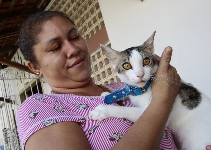 Castramóvel gatos - Paróquia Cristo Peregrino - Conjunto Terra Santa, rua União 21- Jaderlândia