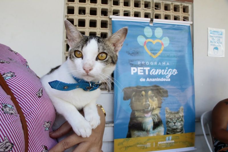 Castramóvel gatos - Paróquia Cristo Peregrino - Conjunto Terra Santa, rua União 21- Jaderlândia