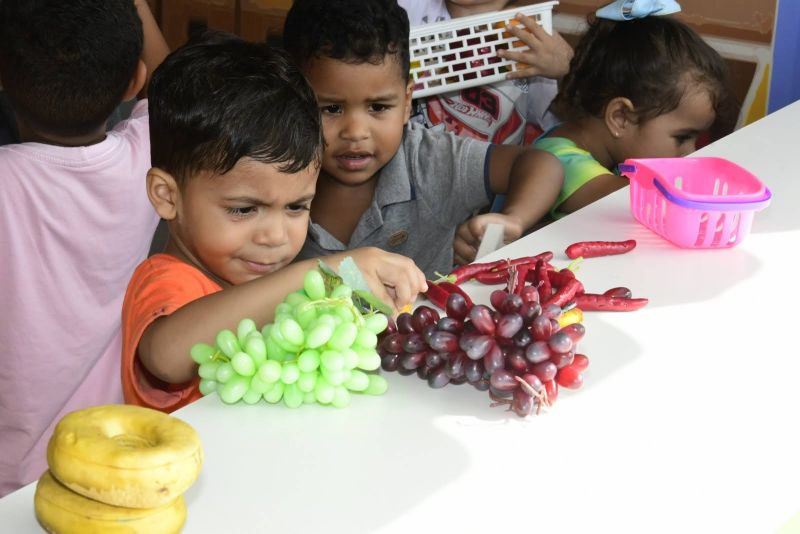 CMREI Irmã Dulce, rua Oswaldo Cruz no Bairro Águas Lindas