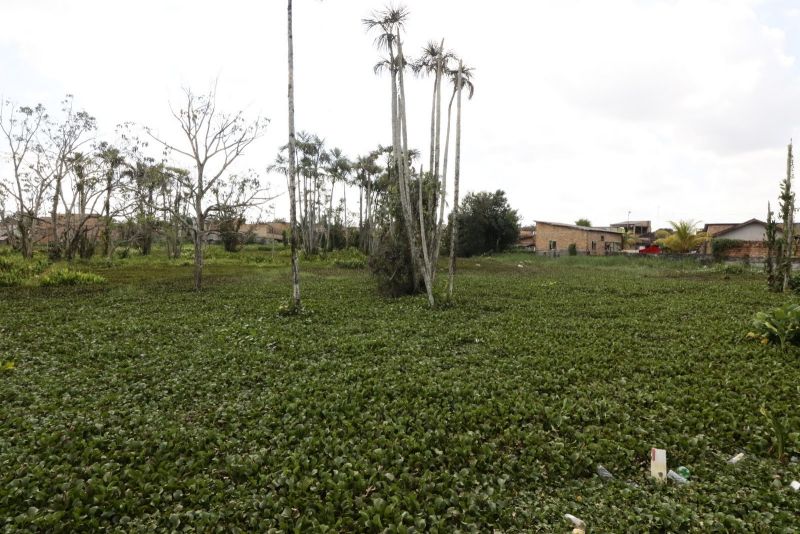 Visita ao conjunto Jardim Esperança no Una