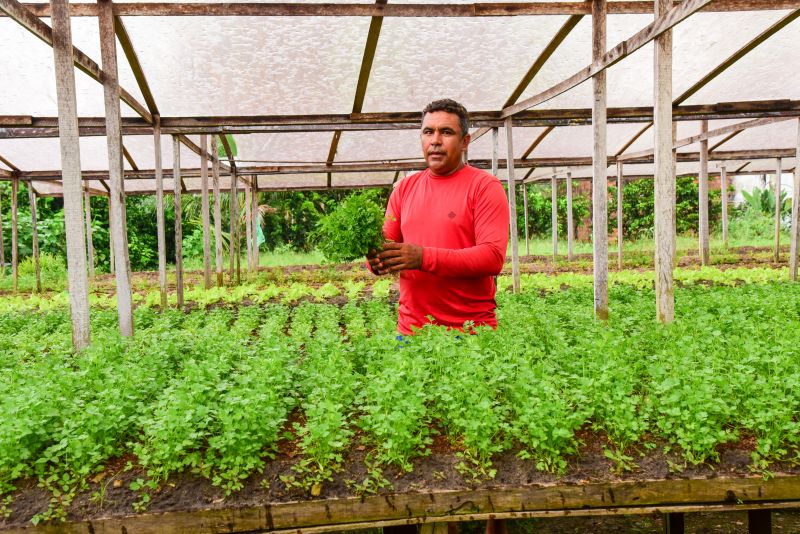 Agricultores no Curuçamba