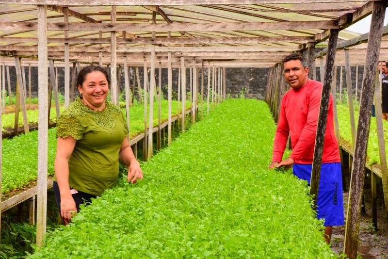 Agricultores no Curuçamba