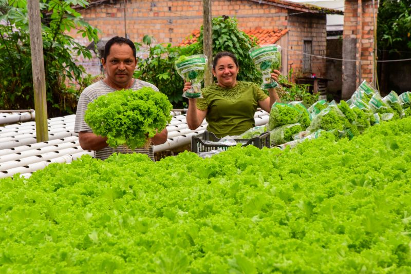 Agricultores no Curuçamba