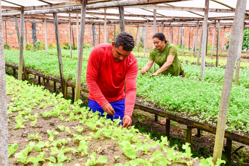 Agricultores no Curuçamba