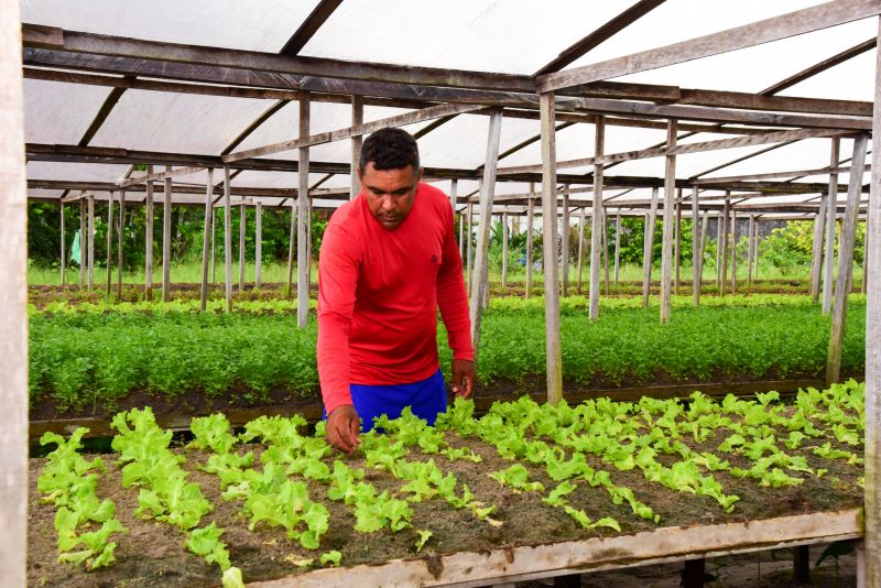 Agricultores no Curuçamba