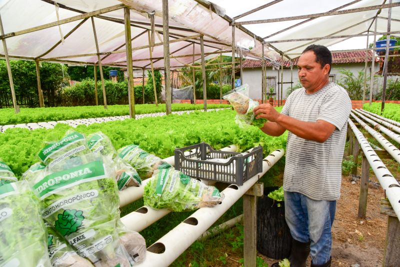 Agricultores no Curuçamba