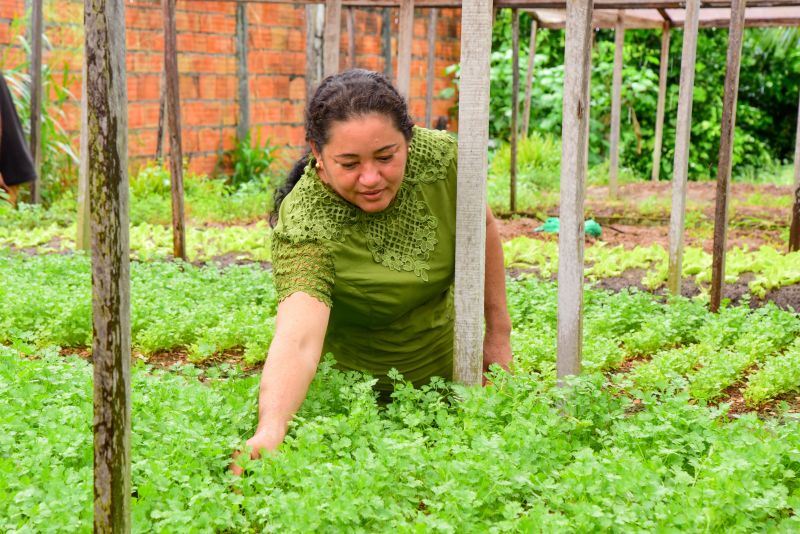 Agricultores no Curuçamba