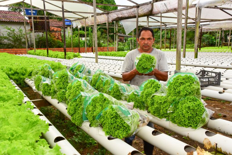 Agricultores no Curuçamba