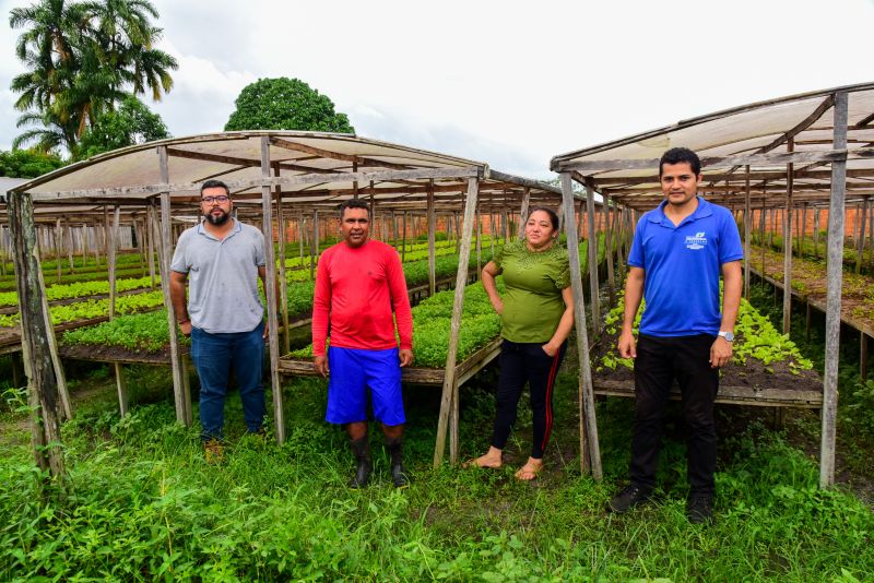 Agricultores no Curuçamba