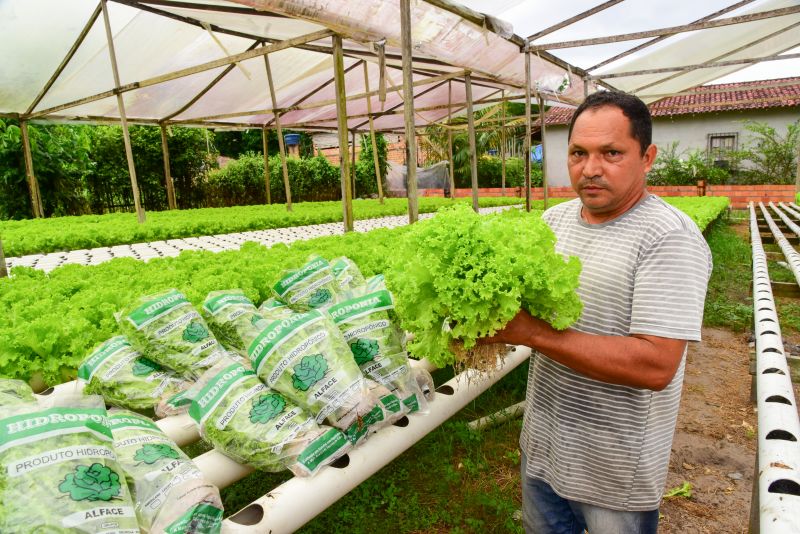 Agricultores no Curuçamba