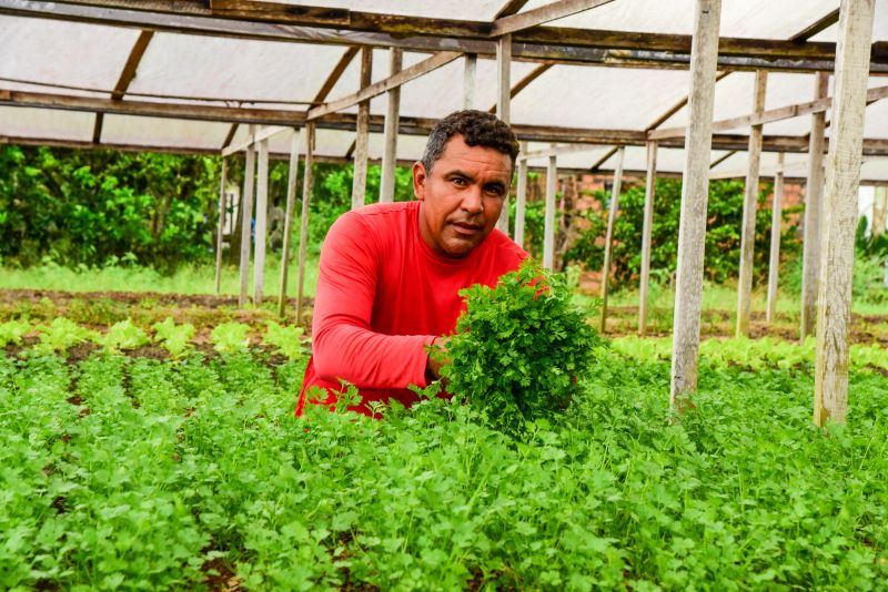 Agricultores no Curuçamba