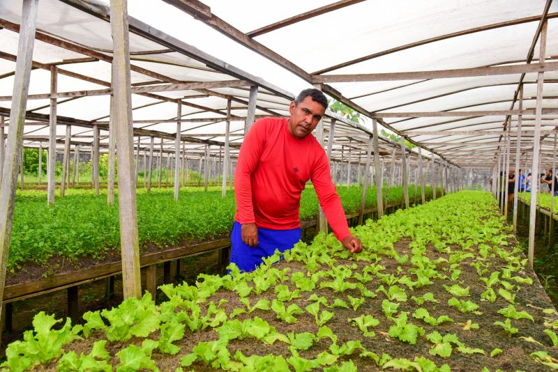 Agricultores no Curuçamba