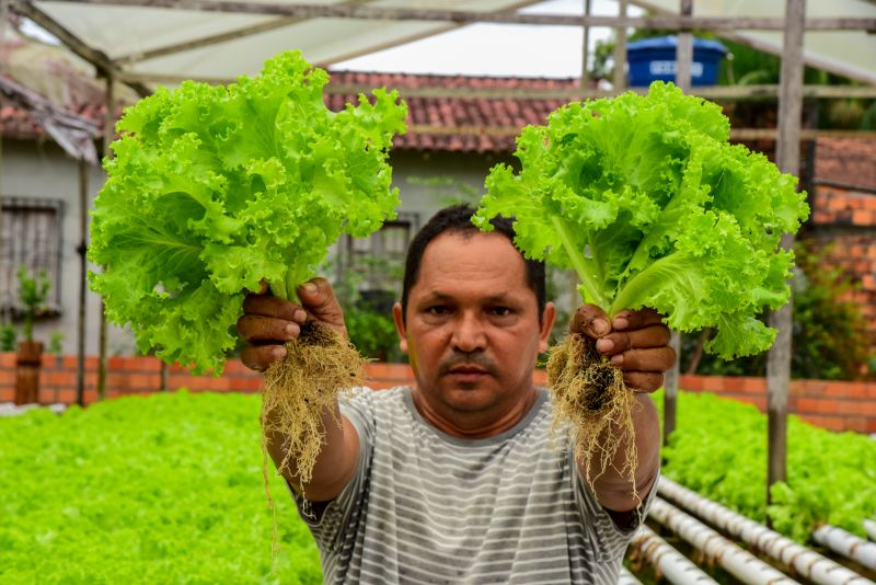 Agricultores no Curuçamba