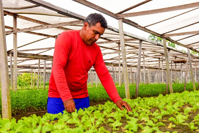 Agricultores no Curuçamba