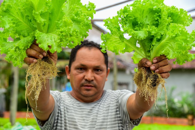 Agricultores no Curuçamba