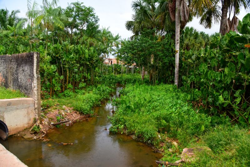 Assinatura de O.S de Macrodenagem e Infraestrutura Viária do Igarapé dos Macacos na Águas Brancas