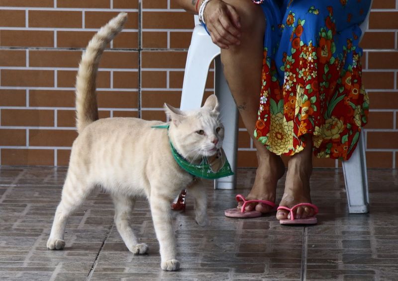 Visita ao Castramóvel na Paroquia Santo André