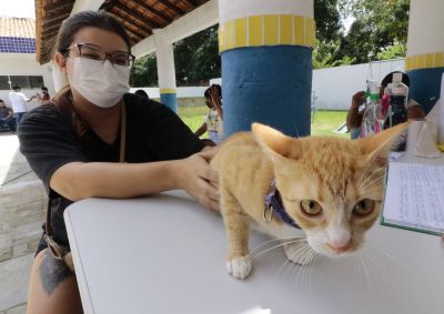 galeria: Castra Movel na Escola Sebastiana Paes Barreto