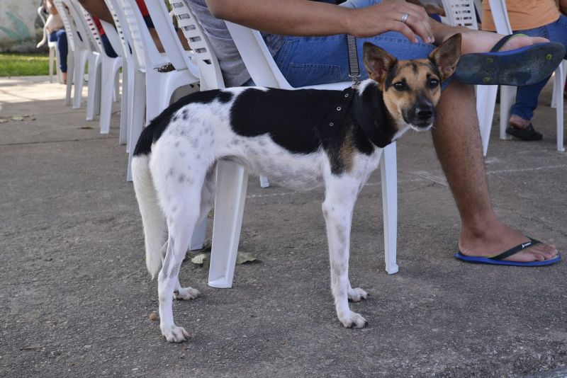 Castramóvel na Paróquia São José Operário no Conjunto Carnaúba bairro Icuí Guajará