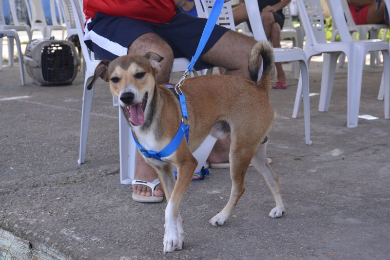 Castramóvel na Paróquia São José Operário no Conjunto Carnaúba bairro Icuí Guajará