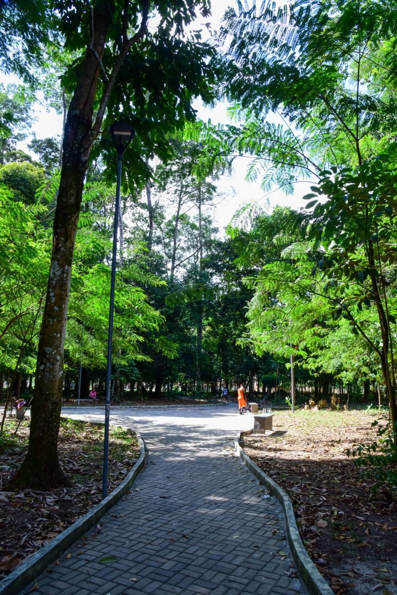 Bosque Marajoara no conjunto Júlia Seffer