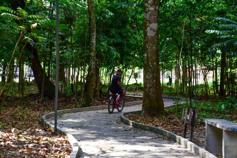 Bosque Marajoara no conjunto Júlia Seffer