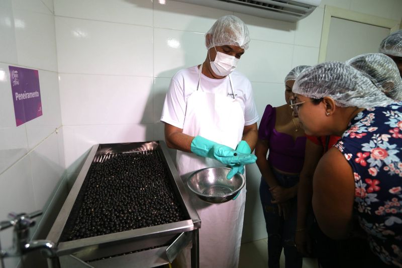 Curso boa pratica no manuseio do açai