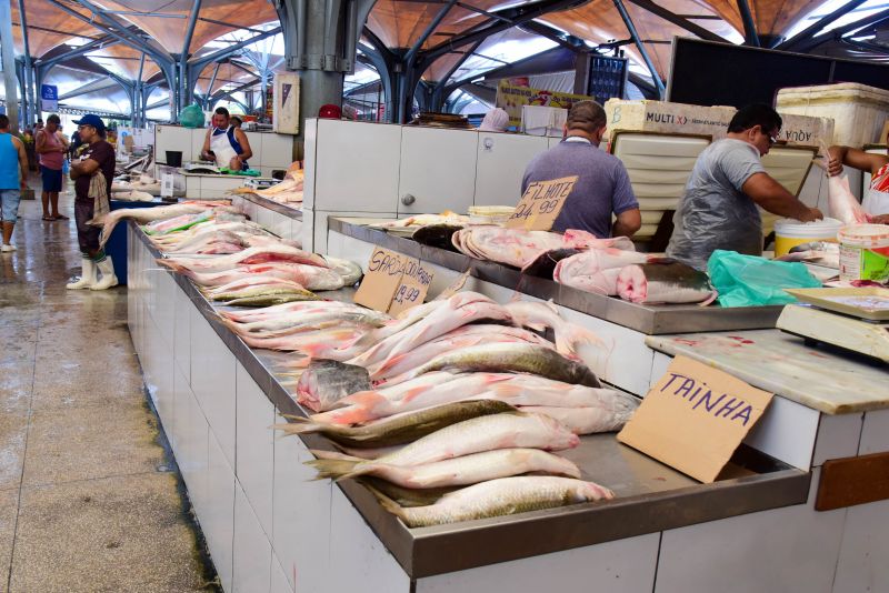 Feira da Cidade Nova IV