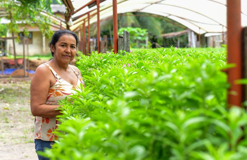 Imagens de Apoio de Agricultores e do secretario Pedro Soares