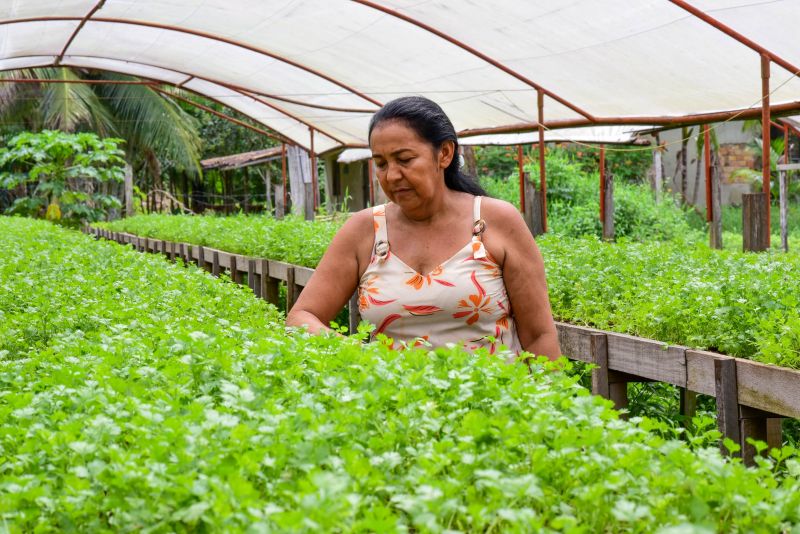 Imagens de Apoio de Agricultores e do secretario Pedro Soares