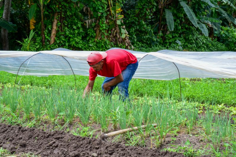 Imagens de Apoio de Agricultores e do secretario Pedro Soares