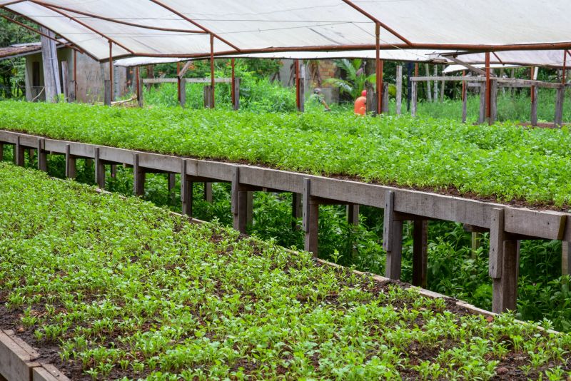 Imagens de Apoio de Agricultores e do secretario Pedro Soares