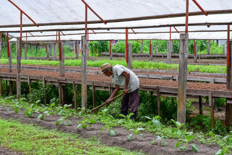 Imagens de Apoio de Agricultores e do secretario Pedro Soares