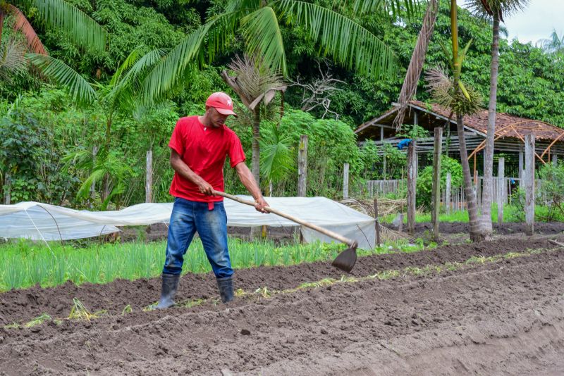 Imagens de Apoio de Agricultores e do secretario Pedro Soares