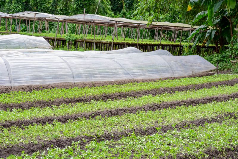 Imagens de Apoio de Agricultores e do secretario Pedro Soares