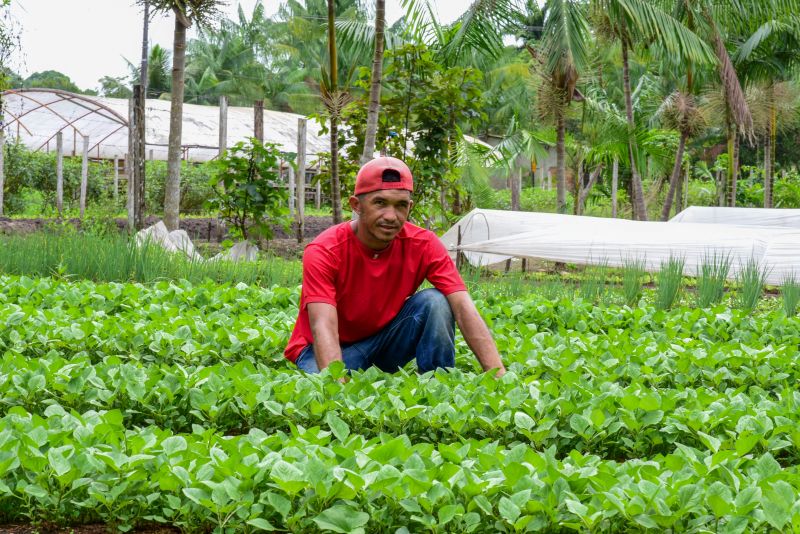 Imagens de Apoio de Agricultores e do secretario Pedro Soares