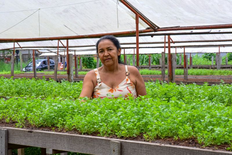 Imagens de Apoio de Agricultores e do secretario Pedro Soares