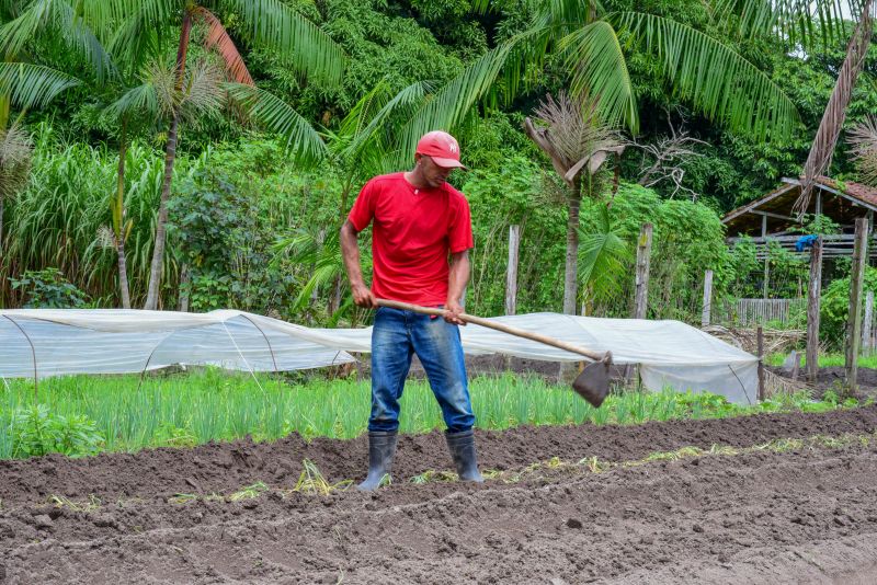 Imagens de Apoio de Agricultores e do secretario Pedro Soares