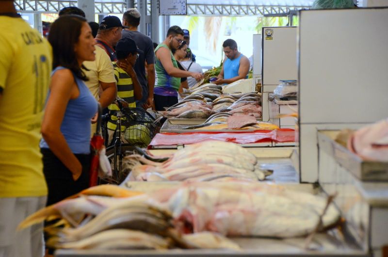 Diagnostico de Feirantes da Feira da Cidade Nova IV