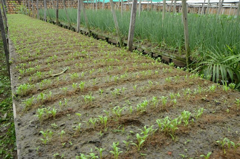 Produção Rural