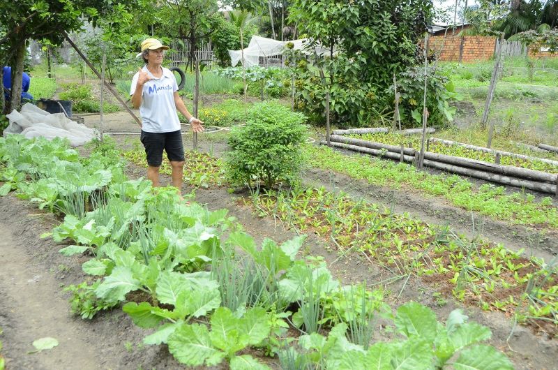 Produção Rural