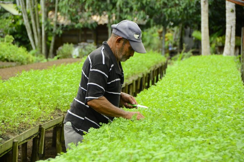 Produção Rural