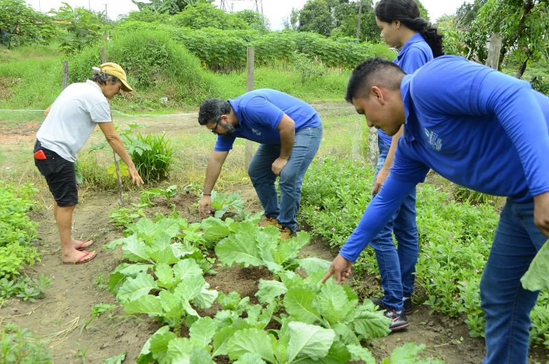 Produção Rural