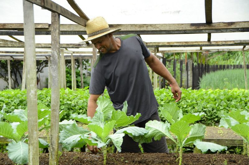 Produção Rural