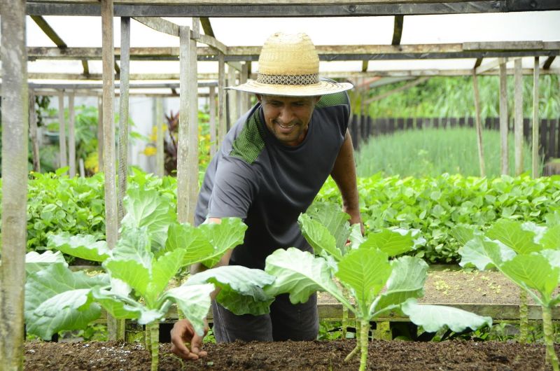 Produção Rural