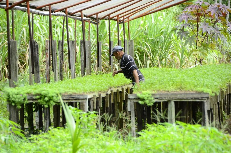 Produção Rural