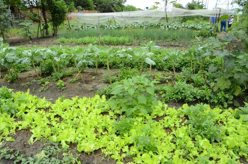 Produção Rural