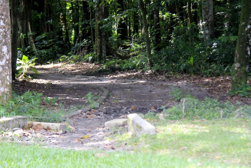 Assinatura de Ordem de Serviço para Reforma e Modernização do Bosque Uirapuru